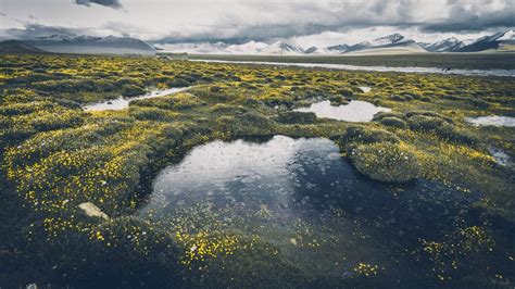 Il Padiglione delle Nuvole Virtuose: Un'Oasi di Tranquillità e Bellezza nel Mondo degli Spiriti